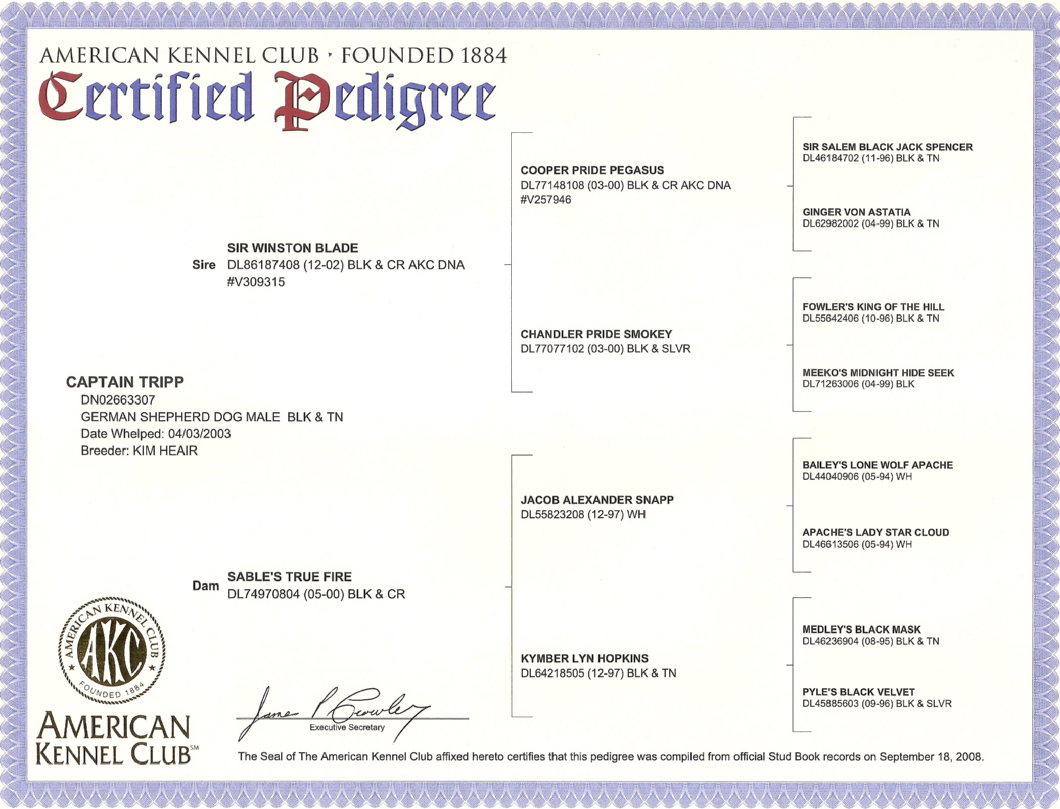 Tripp Pedigree