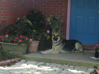 Trip on Duty at Home Sweet Home