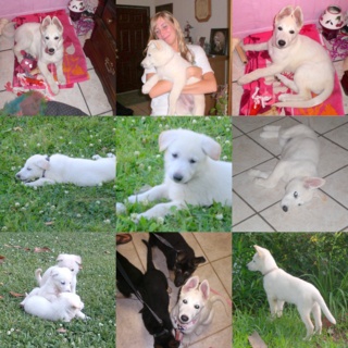 Young Lacey