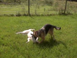 Izzy with New BFF Lacey