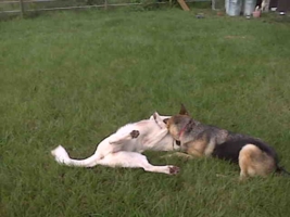 Izzy with New BFF Lacey
