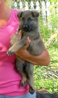 Lady at 7 Weeks