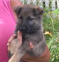 Lady at 7 Weeks