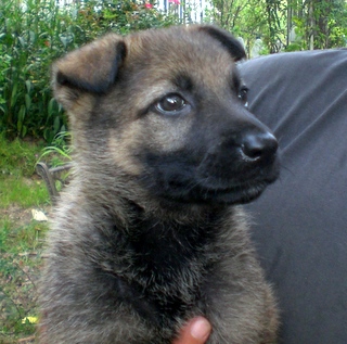 Lady at 7 Weeks