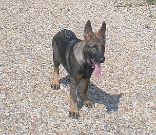 Lady at 4 Months