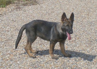 Lady at 4 Months