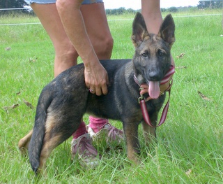 Lady at 4 Months