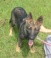 Lady at 4 Months