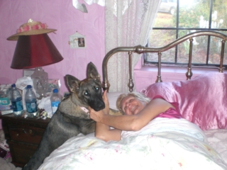 Lady the Housedog!!!