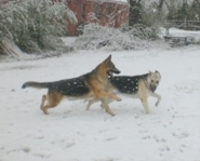 Rica with Best Friend Shasta