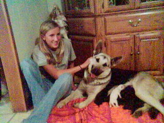 Shasta