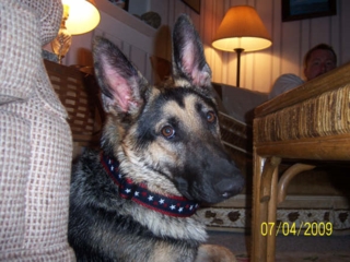 Bella