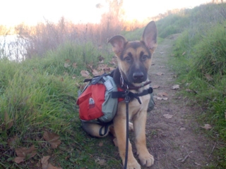 Tucker Backpacking