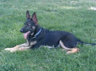 Bishopat4Months