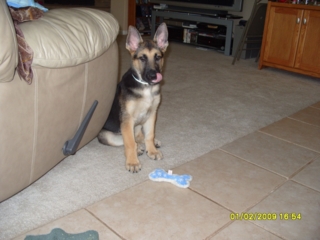 Gunnar