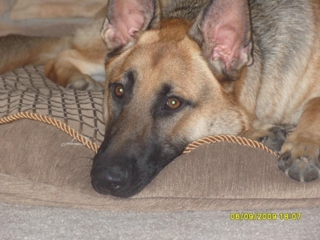 Gunnar