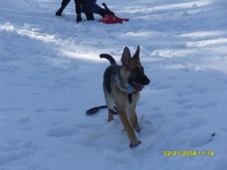 Gunnar