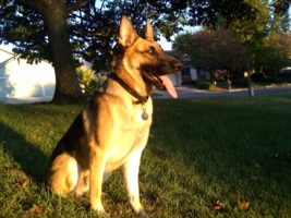 HandsomeBirthdayTucker_267x200.jpg