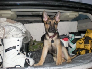 Tucker