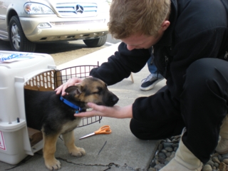 Tucker