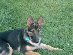 Bismark at 5 Months!!!
