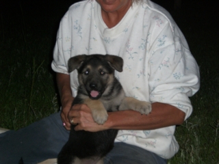 Inca at 6 Weeks!!!