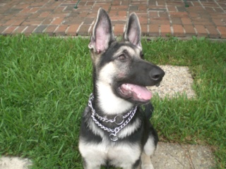 Abbey 20 Weeks