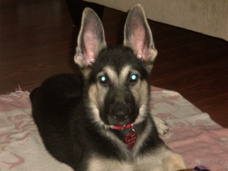 Abby