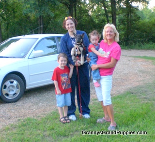 Denali goes Home