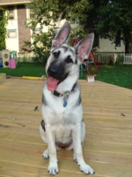 Gracie at 6 Months