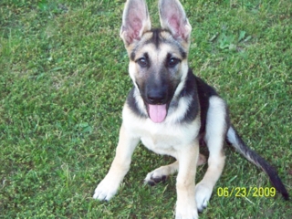 Tasha at 4 Months