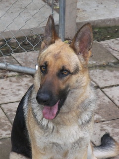 Duuchess Headshot!!!