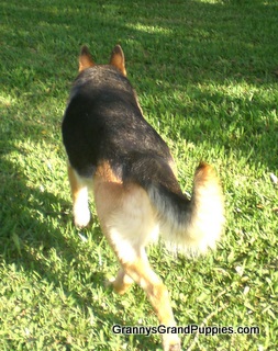 Jazmine%20fromBackCIMG4369.JPG