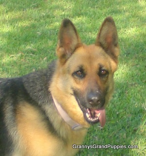 JazmineHeadShotCIMG4376-1.JPG
